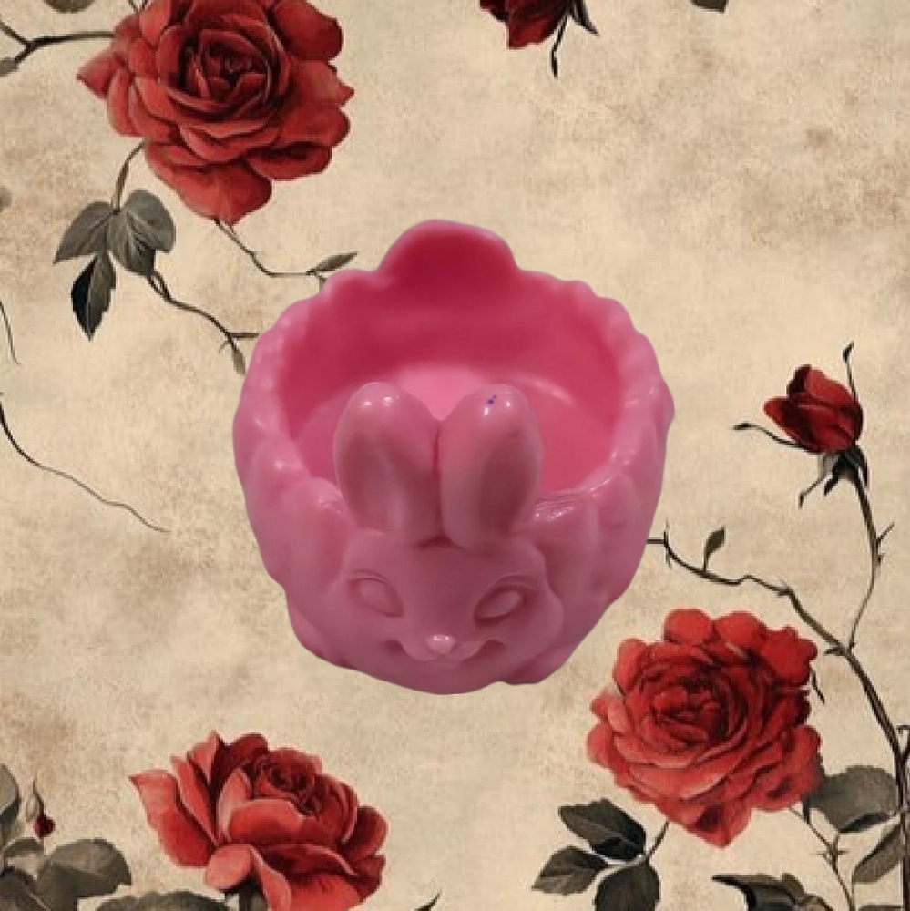 My Little Pony Shoe